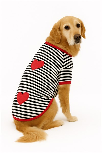 Büyük Irk Heart Yazlık Köpek T-shırt (11 Kg -45 Kg)