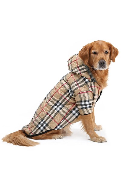 Büyük Irk Kareli Puf Köpek Montu -köpek Yağmurluğu