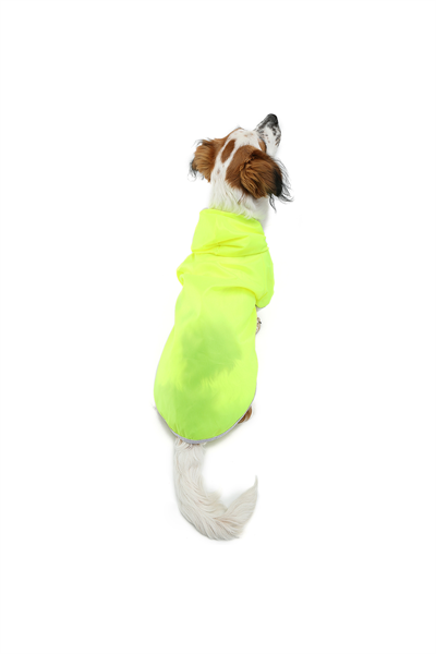 Büyük Irk Neon Green Köpek Yağmurluk Köpek Kıyafeti (11-40KG)