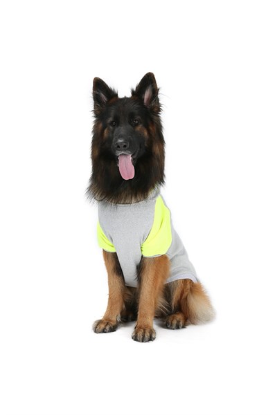 Büyük Irk Number Köpek Sweati Köpek Kiyafeti