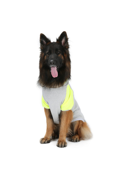 Büyük Irk Number Köpek Sweati Köpek Kiyafeti