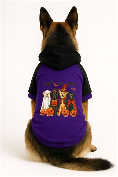 Büyük Irk Purple Halloween Köpek Sweati Köpek Kıyafeti (11-45KG)