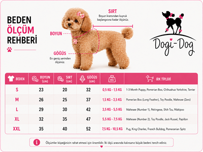 Dogi & Dog Küçük Irk Yıkanabilir Çamaşır içi Regli Hijyenik Pedi (2 Adet)