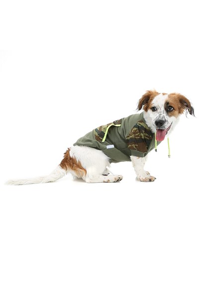 Küçük Irk Askeri Kedi -köpek Sweati -kedi Köpek Kiyafeti