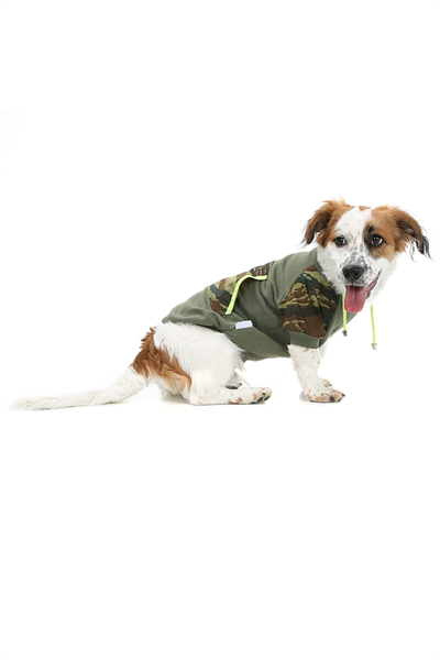Küçük Irk Askeri Kedi -köpek Sweati -kedi Köpek Kiyafeti