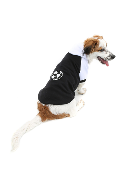Küçük Irk Black Ball Kedi Köpek Sweati Kedi Köpek Kiyafeti