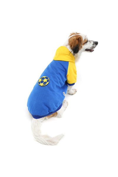 Küçük Irk Blue Ball Kedi Köpek Sweati Kedi Köpek Kiyafeti