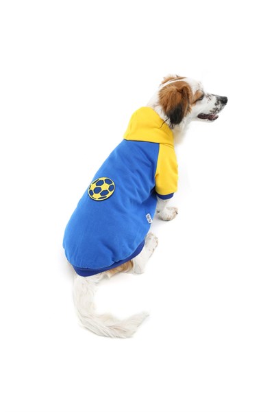 Küçük Irk Blue Ball Kedi Köpek Sweati Kedi Köpek Kiyafeti