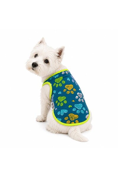 Küçük Irk Blue Neon Pati Atlet Köpek Kıyafeti Köpek Atleti Kedi Kıyafeti (1-10KG)