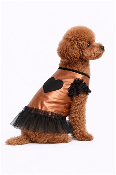 Küçük Irk Copper Heart Köpek Kıyafeti Köpek Elbisesi (1-10KG)