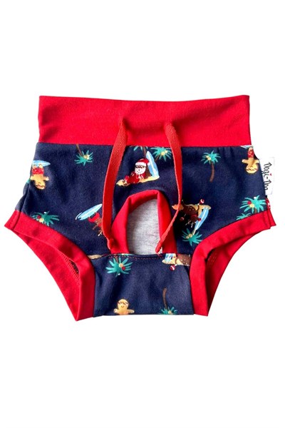 Küçük Irk Crazy Santa Regl Çamaşırı Köpek Kıyafeti (0,5-10KG)