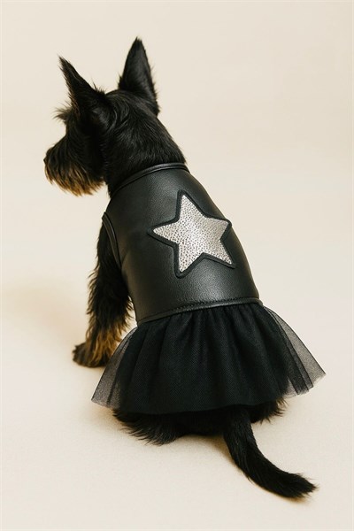 Küçük Irk Deri Rock Star Kedi Elbisesi Köpek Elbisesi Köpek Kıyafeti (1-10 KG)