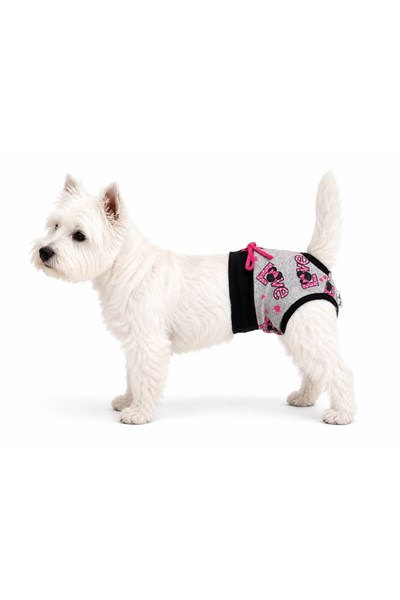 Küçük Irk Gri Neon Love Regli Çamaşırı Köpek Kıyafeti (1-10KG)