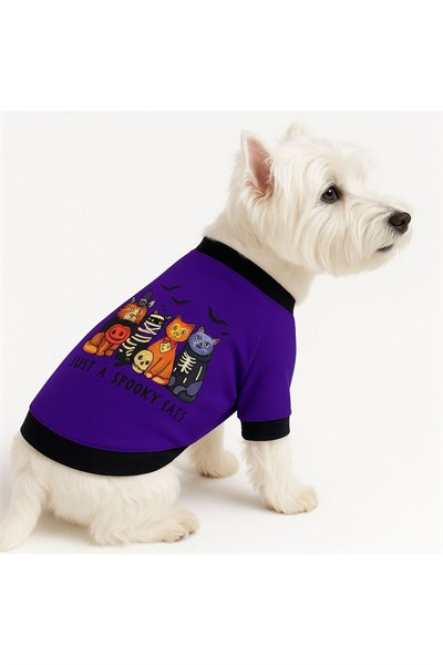 Küçük Irk Halloween Purple Black Cat Köpek Kıyafeti Kedi Kıyafeti (1-10KG)