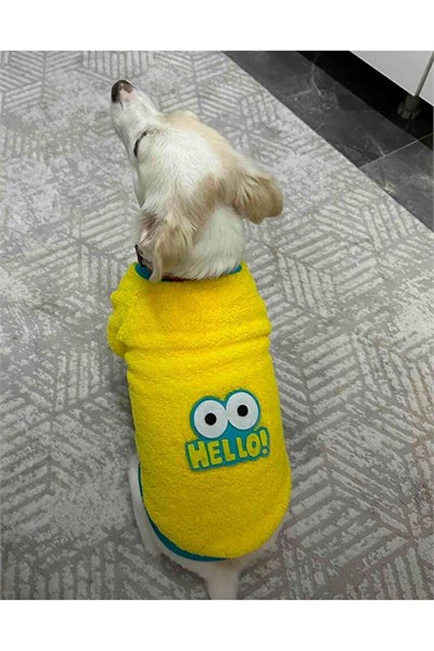 Küçük Irk Hello Polar Kedi & Köpek Sweati (1-10 Kg)