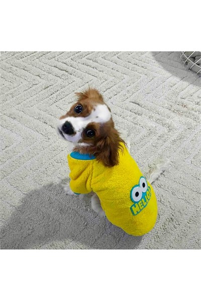 Küçük Irk Hello Polar Kedi & Köpek Sweati (1-10 Kg)