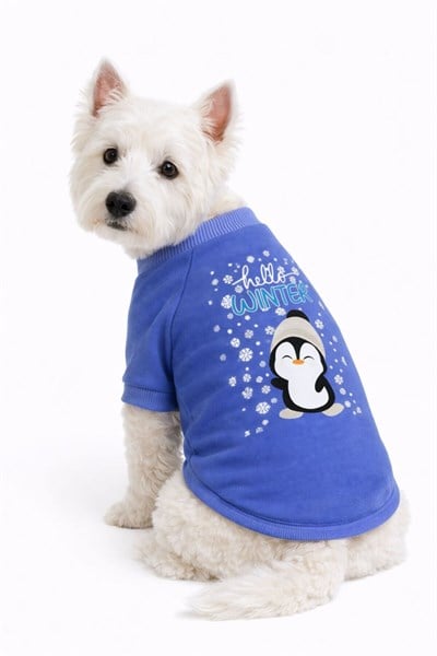 Küçük Irk Hello Winter Köpek Kıyafeti Köpek Sweati (1-10KG)