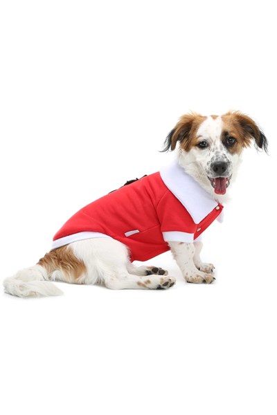 Küçük Irk Kardan Adam Kedi Köpek Kıyafeti