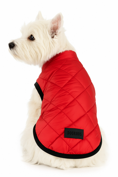 Küçük Irk Kırmızı Anorak Puf Kedi Köpek Kıyafeti Yeleği (01-11kg)