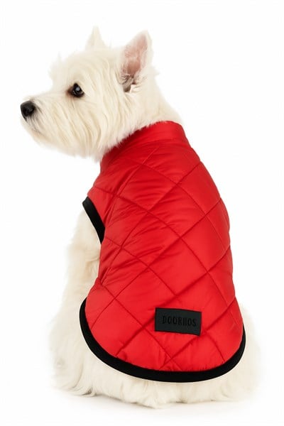 Küçük Irk Kırmızı Anorak Puf Kedi Köpek Kıyafeti Yeleği (01-11kg)