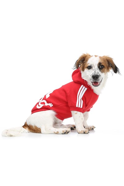 Küçük Irk Kırmızı Sporcu Kedi Kıyafeti Köpek Kıyafeti Köpek Sweati (1-10kg)