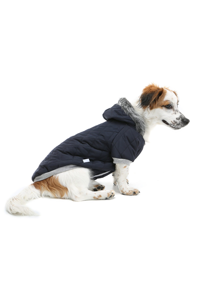 Küçük Irk Laciver Puf Köpek Montu Kedi Köpek Kiyafeti