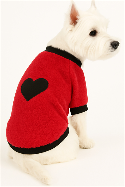 Küçük Irk Lovely Black Heart Polar Kedi Köpek Kıyafeti Sweati (1-11KG)