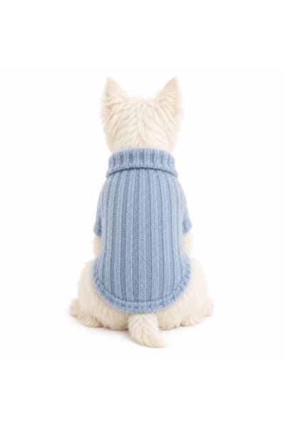 Küçük Irk Mavi Triko Yün Kazak Köpek Kıyafeti Kedi Kıyafeti (1-10KG)