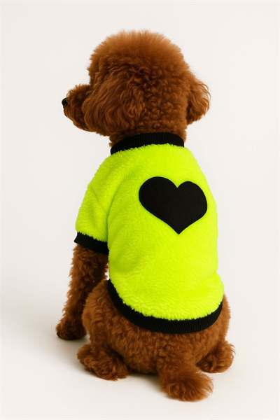 Küçük Irk Neon Green Heart Peluş Köpek Sweati Köpek Kıyafeti (1-10kg)