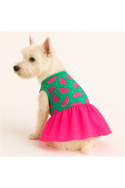 Küçük Irk Neon Karpuz Kedi Köpek Elbisesi Köpek Kıyafeti (1-10KG)