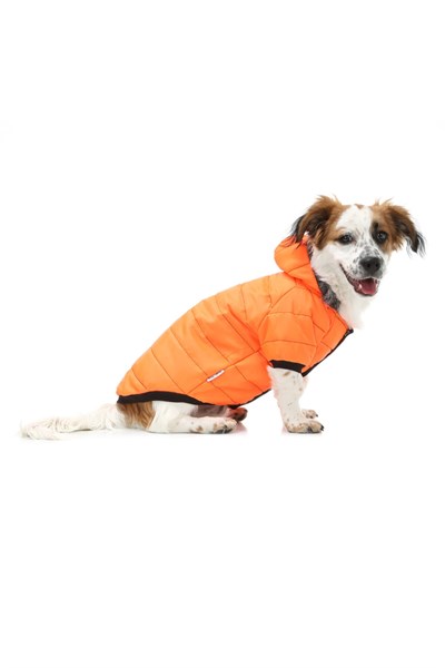 Küçük Irk Neon Oranj Puf Kedi Köpek Montu-köpek Kiyafeti