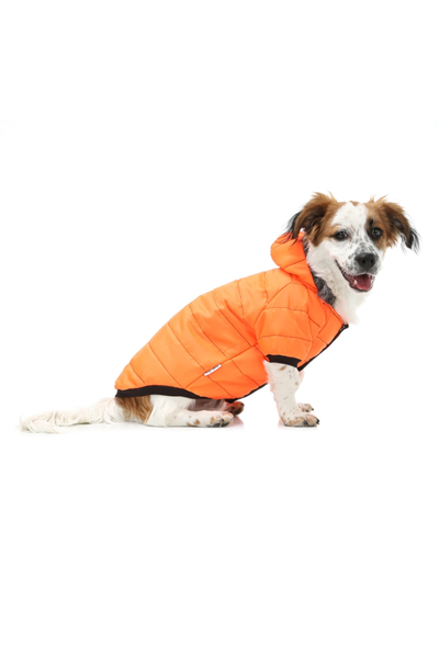 Küçük Irk Neon Oranj Puf Kedi Köpek Montu-köpek Kiyafeti