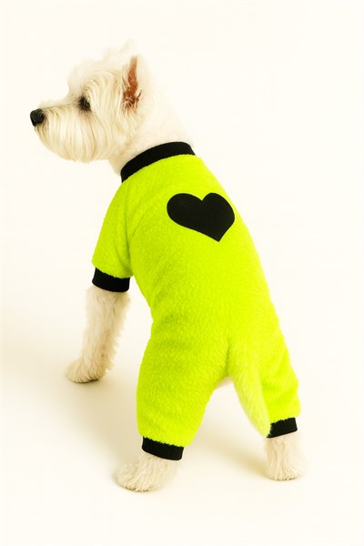 Küçük Irk Neon Yeşil Peluş Kışlık Polar Köpek Tulumu Köpek Kıyafeti Kedi Kıyafeti (1-10kg)