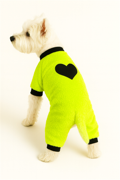 Küçük Irk Neon Yeşil Peluş Kışlık Polar Köpek Tulumu Köpek Kıyafeti Kedi Kıyafeti (1-10kg)
