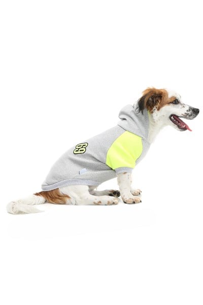 Küçük Irk Number Neon Sarı Kedi  Köpek Sweati  Kedi Köpek Kıyafeti
