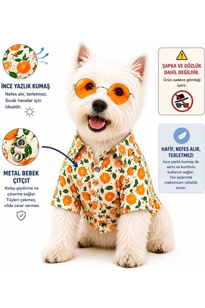 Küçük Irk Orange Köpek Kıyafeti Köpek Gömleği Kedi Gömleği (1-10KG)