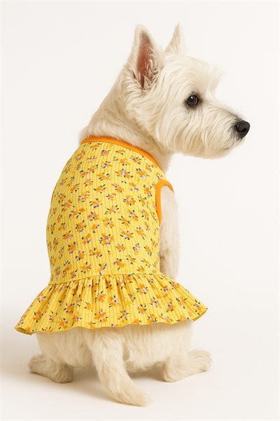 Küçük ırk oranj flowers kedi& köpek elbisesi (1 kg-10 kg)