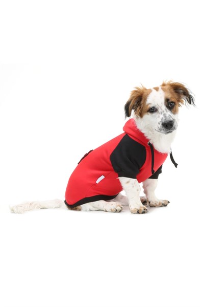 Küçük Irk Pati Red Sweat Kedi Köpek Kiyafeti Kedi Köpek Elbisesi
