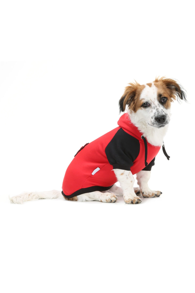 Küçük Irk Pati Red Sweat Kedi Köpek Kiyafeti Kedi Köpek Elbisesi