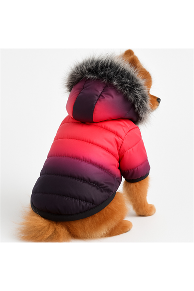 Küçük Irk Pink -black Puf Anorak Kedi & Köpek Montu (1-10KG)