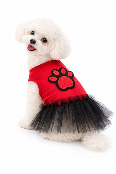 Küçük Irk Red Paws Köpek Elbisesi Köpek Kıyafeti (1-10KG)