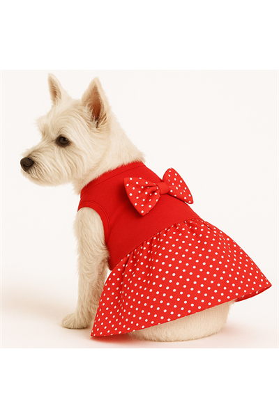 Küçük Irk Red Point Köpek Kıyafeti Kedi Kıyafeti (1-5 KG)
