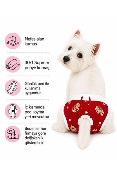 Küçük Irk Şeker Kız Köpek Regl Çamaşırı Kedi Çamaşırı (1-10KG)
