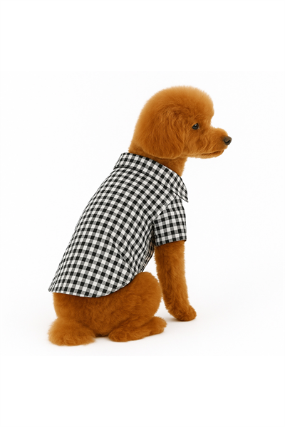 Küçük Irk Siyah Oduncu Kedi Köpek Gömleği Kedi Köpek Kiyafeti