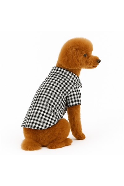 Küçük Irk Siyah Oduncu Kedi Köpek Gömleği Kedi Köpek Kiyafeti