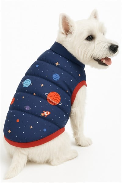 Küçük Irk Space Anorak Puf Kedi &köpek Yeleği