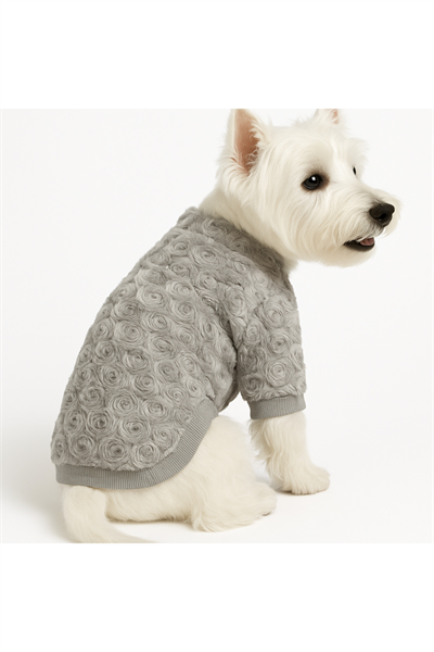 Küçük Irk Wedding Dress Küçük Irk Kedi Köpek Kıyafeti (01-10KG Arası)