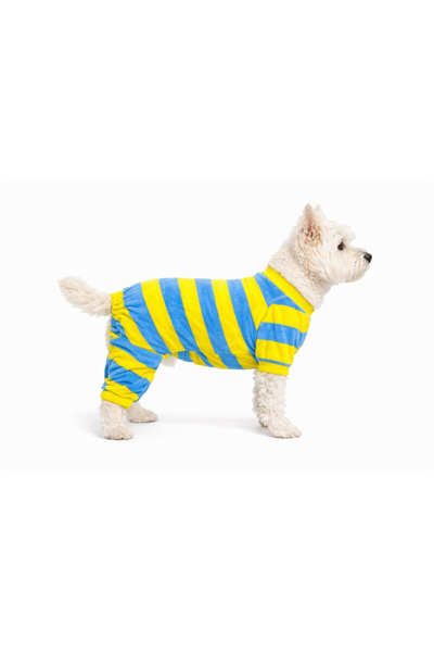 Küçük Irk Yellow Blue Köpek Tulumu Köpek Kıyafeti (1-10KG)