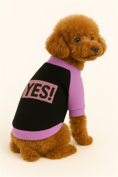 KÜÇÜK IRK YES PULLU KEDİ & KÖPEK SWEATİ (1KG-10 KG)