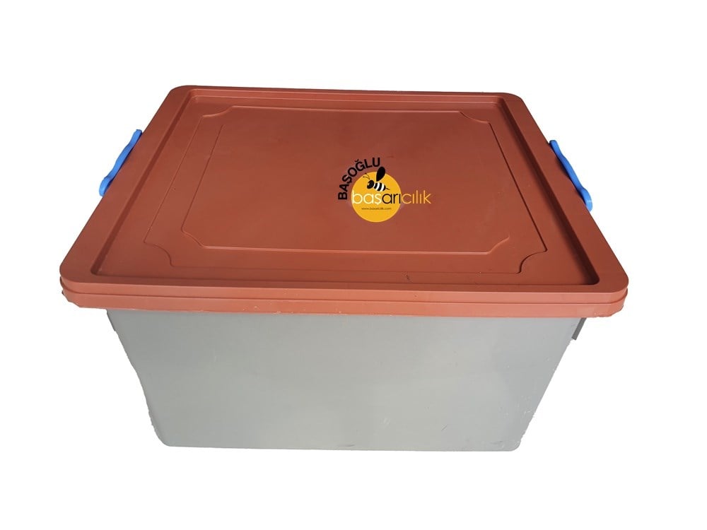 Bal Taşıma Kutusu - 10'Li Renkli